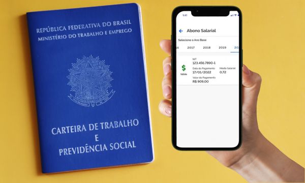 Saiba Como Consultar Abono Salarial em Minutos