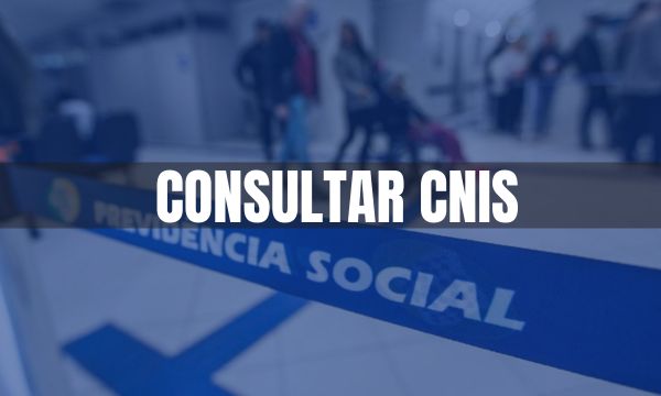 Consultar CNIS: Tudo o que Você Precisa Saber