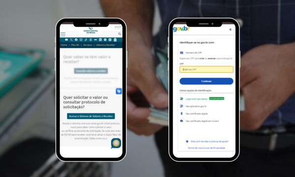 Confira como acessar o sistema gov.br (nível prata ou ouro) para solicitar valores.